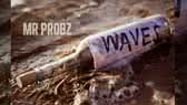Waves (Mr Probz)
