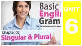6-H)  Plurals: regular & irregular (Let's Talk)