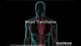 Blood transfusion