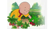 Caillou goes strawberry picking (Caillou)