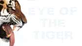 Eye of the tiger -singalong (Survivor)
