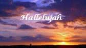 Hallelujah (Heather Williams)