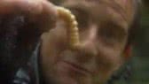 Eating giant larva (Man vs Wild)