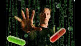 Matrix: the pill choice