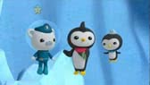The great penguin race (The Octonauts)