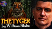 The Tyger - Phonetics – William Blake – Learn English Through Poetry (Britlish - British English lessons)