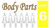 Body Parts - vocabulary