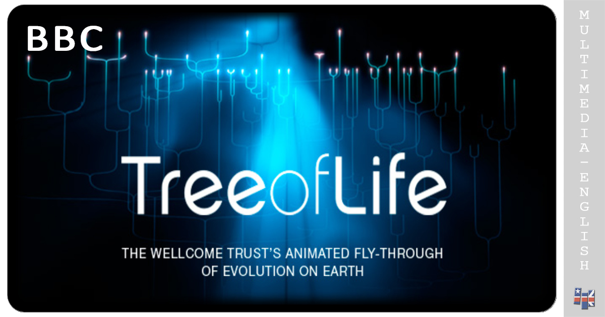 Tree of Life (BBC) –[Multimedia-English videos]