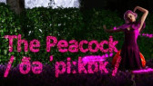 The Peacock - A Phonetic Aesop